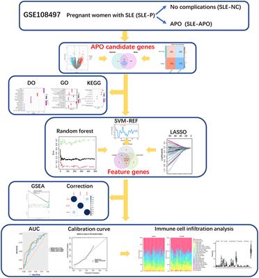 Potential genetic biomarkers predict adverse pregnancy outcome during early and mid-pregnancy in women with systemic lupus erythematosus
